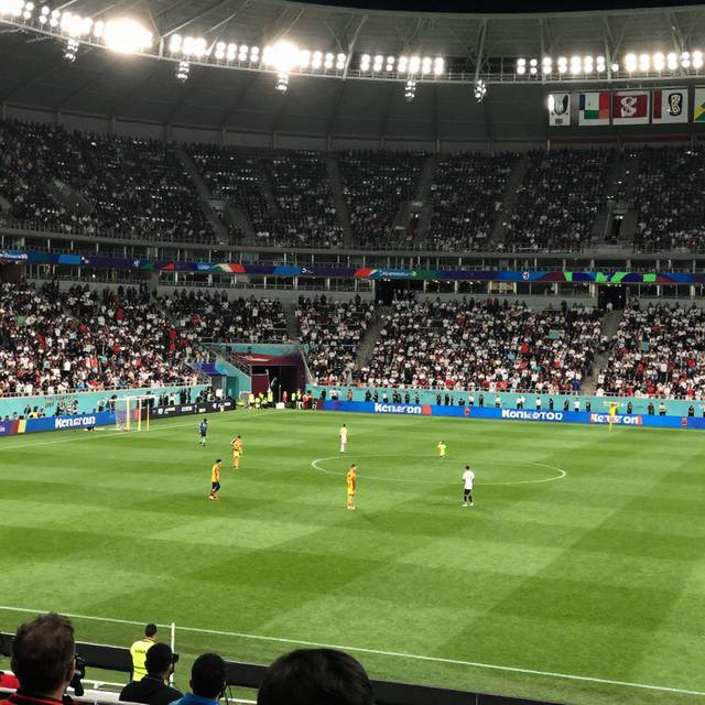 post_img_1784445068_8669